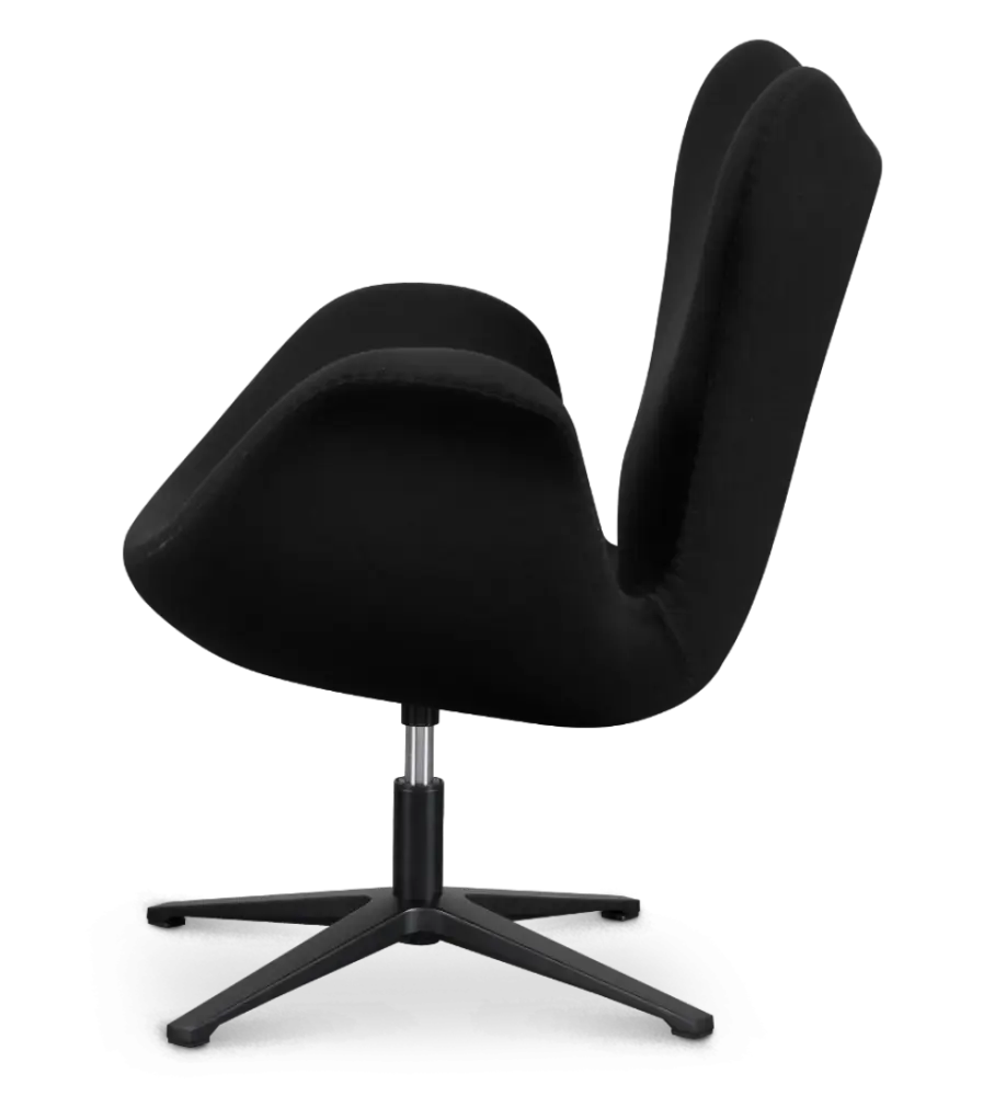Sean Chair Zwart Kasjmier