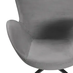 Flag Chair Zilver Grijs Velvet