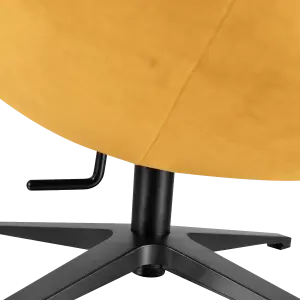 Flag Chair Oker Velvet