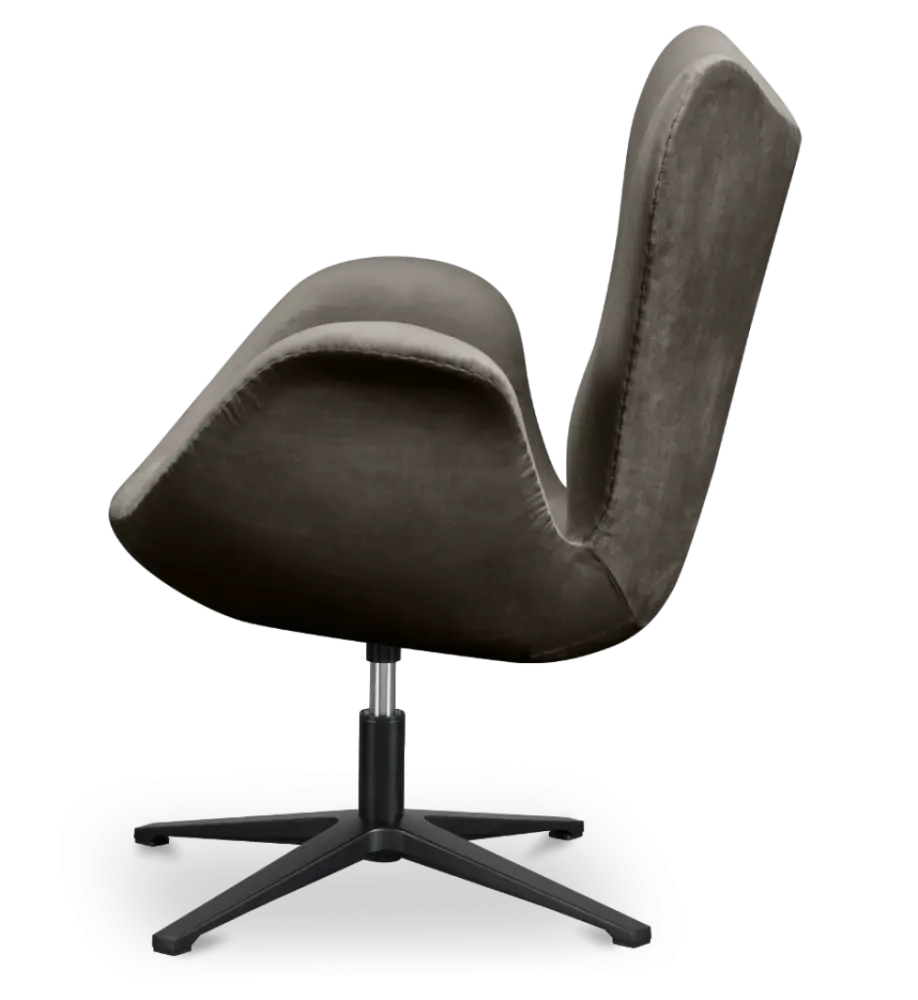 Sean Chair Zilver Grijs Velvet