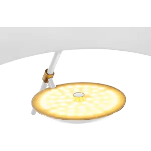 Hanglamp Gulf | Mat Wit / Goud