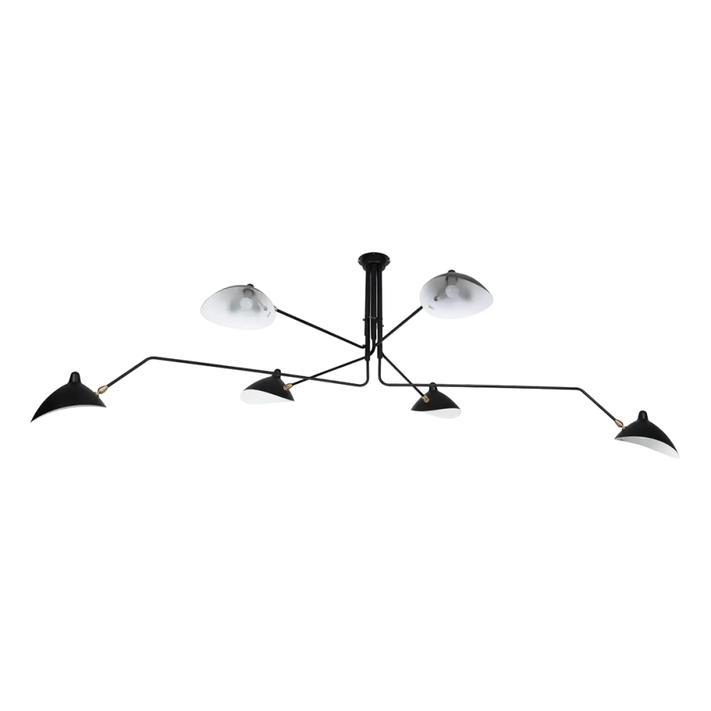 Hanglamp Blackwidow | Zwart