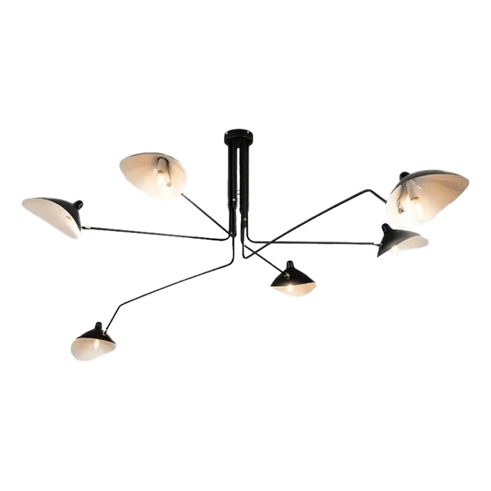 Hanglamp Blackwidow | Zwart